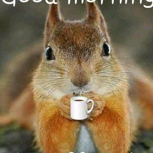 Meet your Posher, Sue